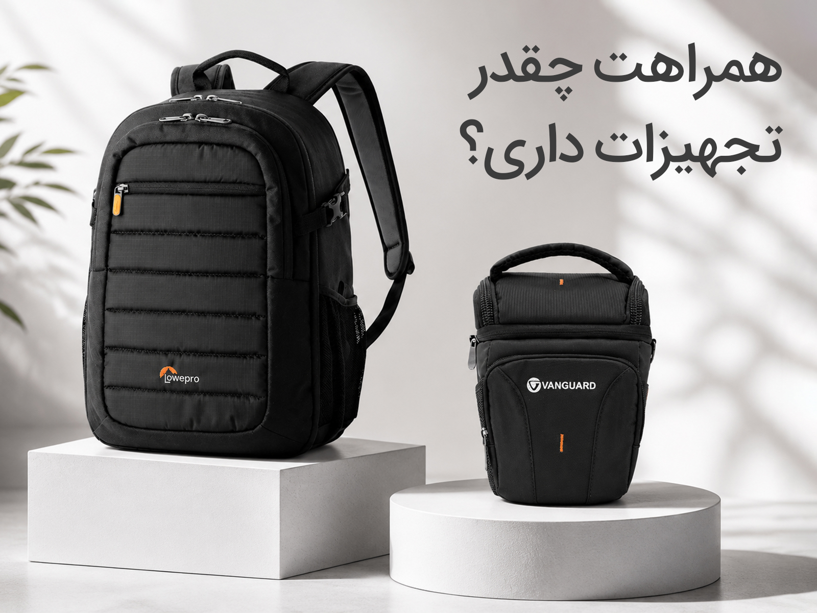 کیف ها